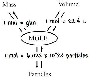 mole-diagram